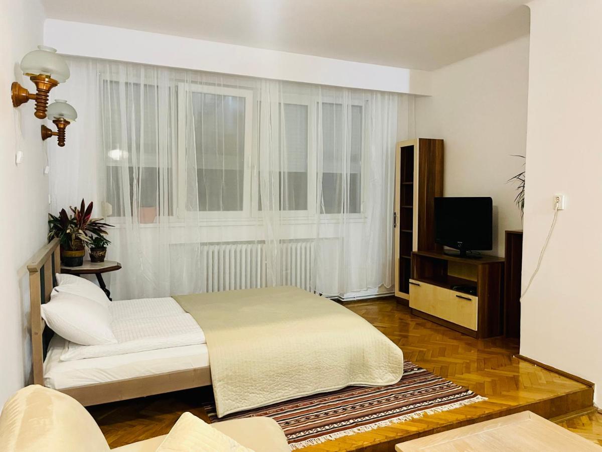 Ferienwohnung Little Cute Central House Satu Mare Exterior foto