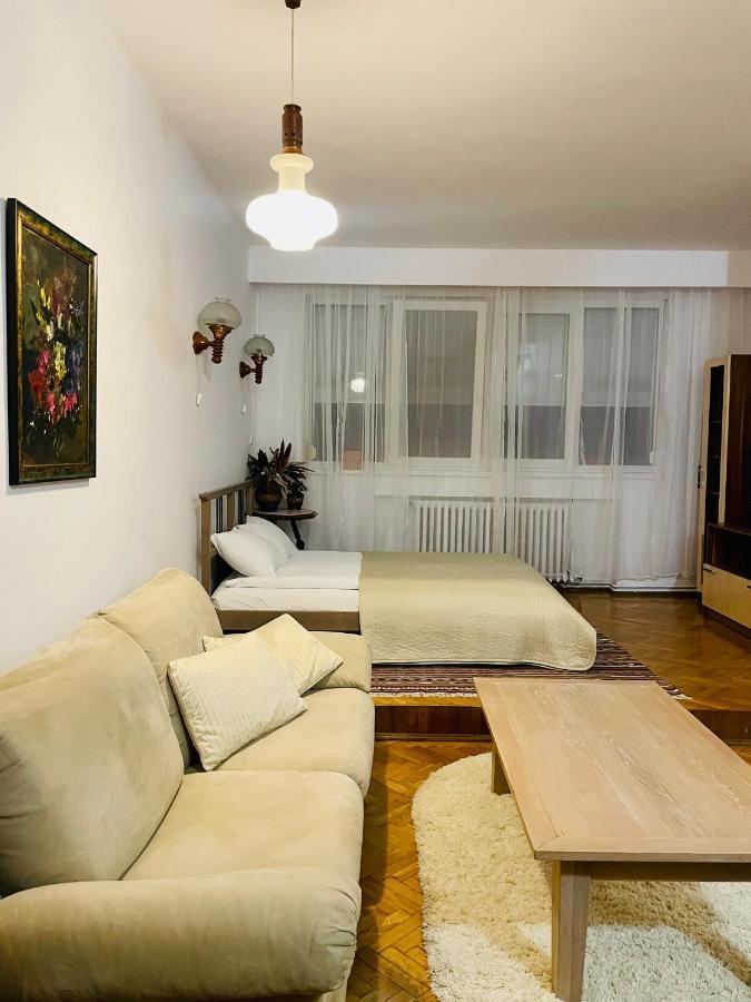 Ferienwohnung Little Cute Central House Satu Mare Exterior foto