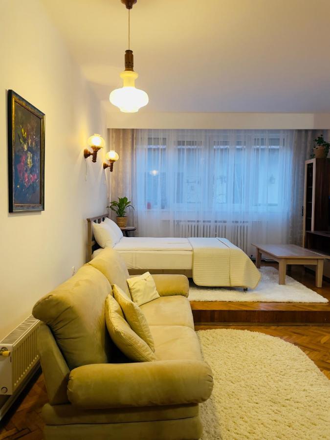 Ferienwohnung Little Cute Central House Satu Mare Exterior foto
