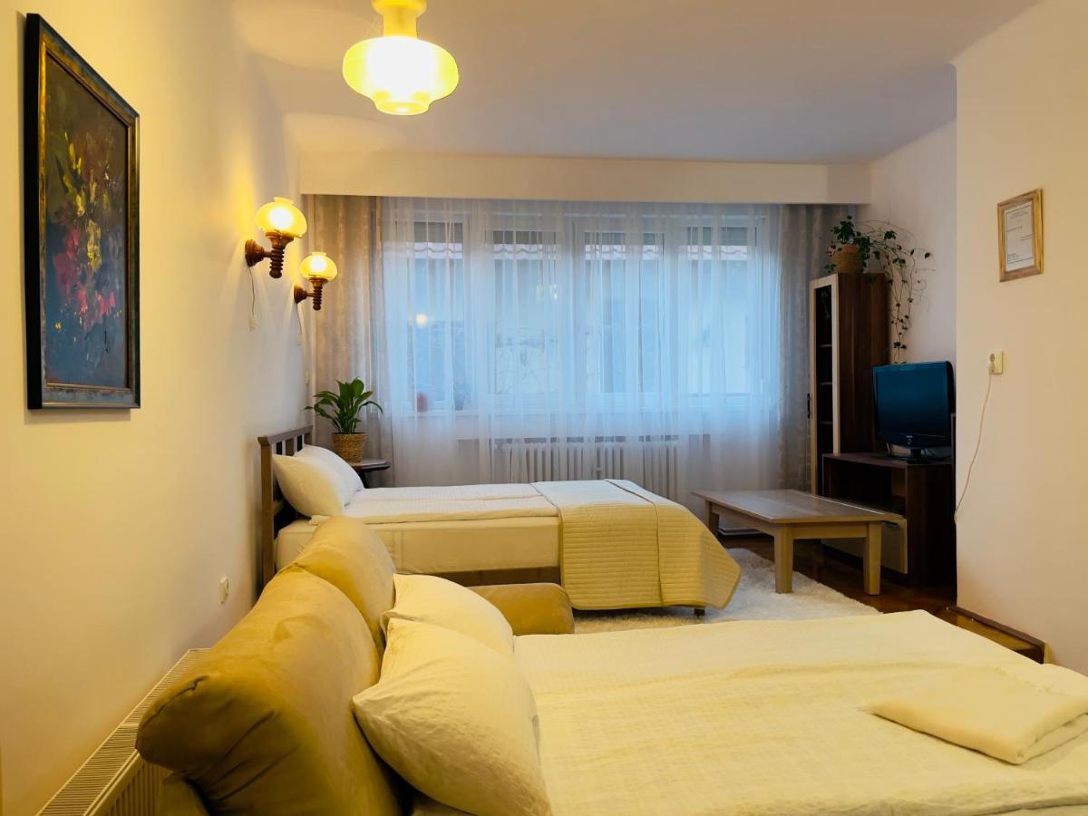 Ferienwohnung Little Cute Central House Satu Mare Exterior foto