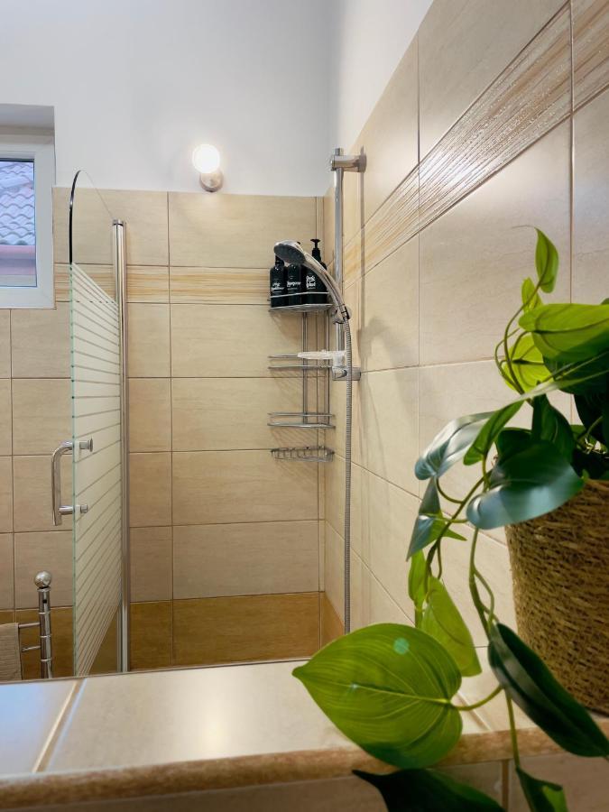 Ferienwohnung Little Cute Central House Satu Mare Exterior foto