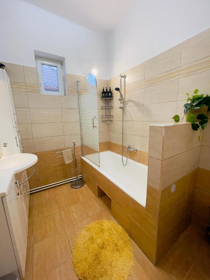 Ferienwohnung Little Cute Central House Satu Mare Exterior foto